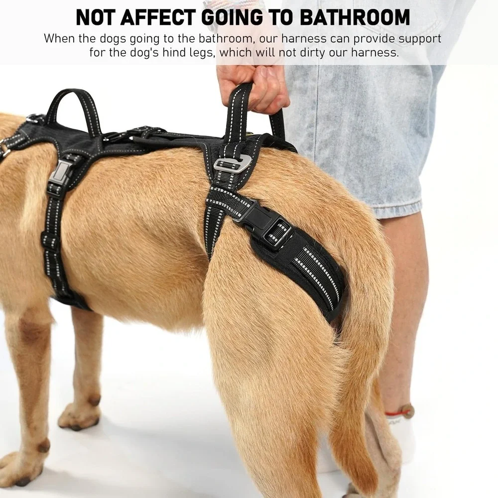 COODEO Small Dog Lift Harness‎ Polyester Rear Leg Support Rehab Sling Black